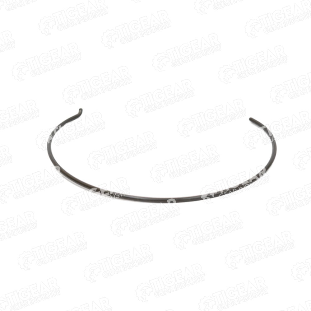ELASTIC RING
