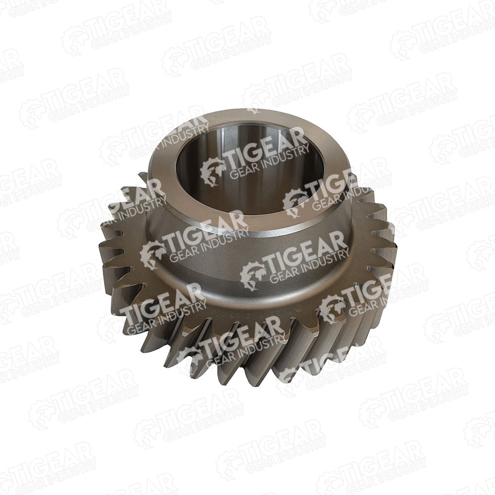 GEAR 31T