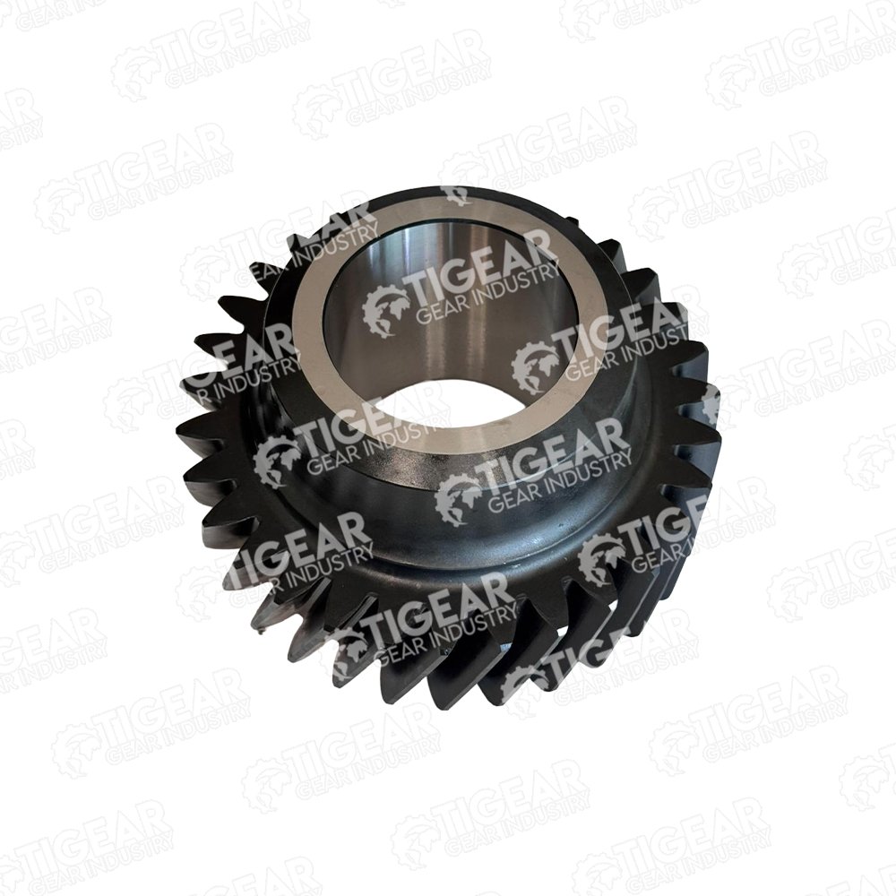 GEAR 31 T.