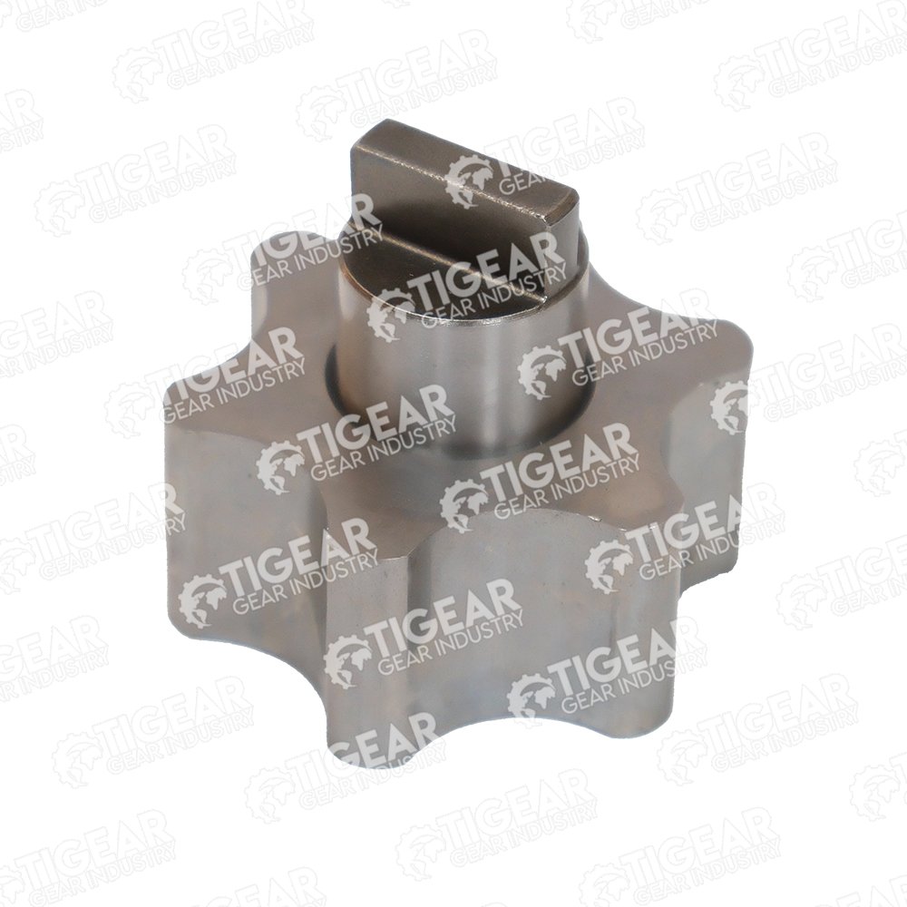OIL PUMP GEAR